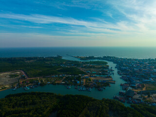 Aerial view tropical green tree mangrove forest river to sea bay