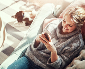 Phone, relax and happy woman in home for reading news, email and social media in top view with pet...