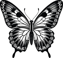 black and white butterfly illustration