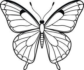 black and white butterfly illustration