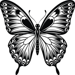 black and white butterfly illustration