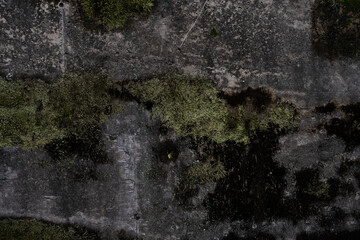 이기가 있는 벽