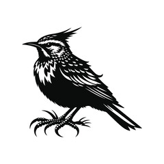 Lark Animal black silhouette vector with white color background