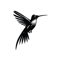 Hummingbird Animal black silhouette vector with white color background