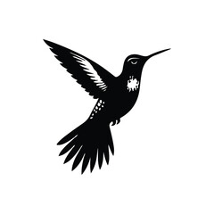 Hummingbird Animal black silhouette vector with white color background