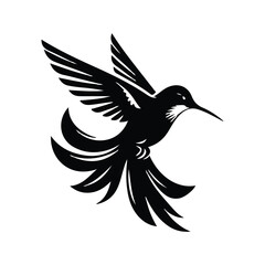 Hummingbird Animal black silhouette vector with white color background