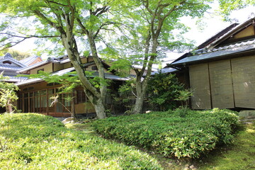 Fresh green and Shoin house in Hogon-in Temple, Kyoto, Japan