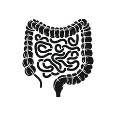 Medical Graphic of Human Large Intestine – High-Quality Vector Art for Educational Use