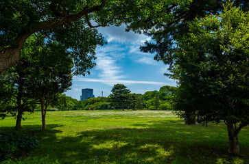 Obraz premium 東京・皇居東御苑