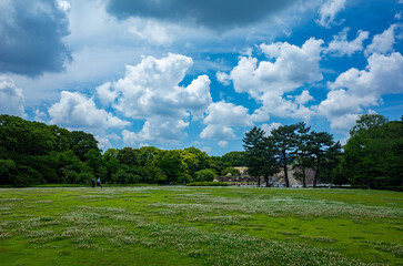 皇居東御苑にある江戸城跡
