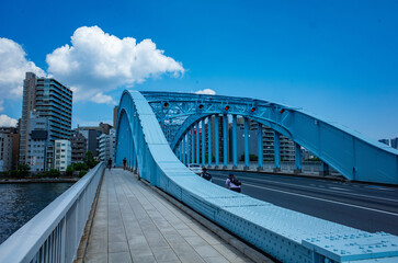 Obraz premium 永代橋から眺める隅田川と東京スカイツリー