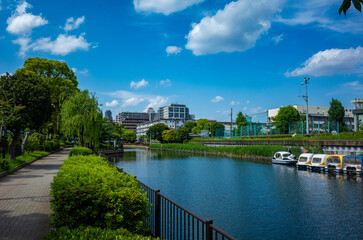 Obraz premium 横十間川親水公園