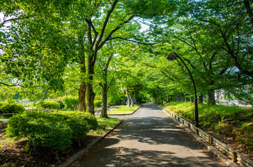 都立猿江恩賜公園