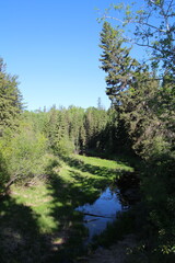 Creek In The Woods, Whitemud Park, Edmonton, Alberta
