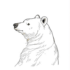 Fototapeta premium a cartoon of a panda bear
