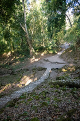 Mittelamerika Honduras, El Salvador, Wilde Tiere, Natur, Pflanzen, Reisen, Travel