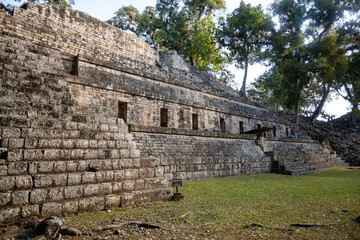 Mittelamerika Honduras, El Salvador, Wilde Tiere, Natur, Pflanzen, Reisen, Travel