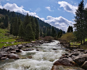 Obraz premium Kyrgyzstan, the eastern shore of Lake Issyk-Kul. View of the rocky Arashan River among the mossy rocks of the overgrown gorge.