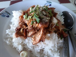 Savory Stir-Fried Pork with Rice and Herbs