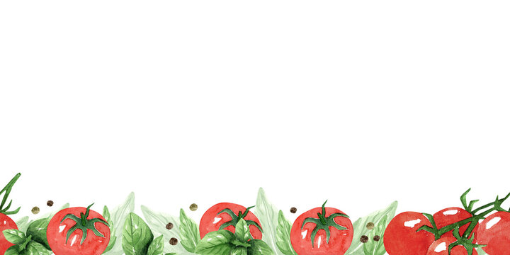 Frame, border from tomatoes cherry, peppercorns and green basil, herbs. Hand drawn watercolor illustration on white background. Template for design menu, textiles, printing, packaging.