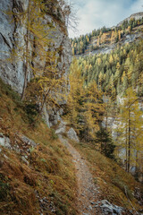 Swiss mountain path in Sunnbüel Kandersteg in fall colors