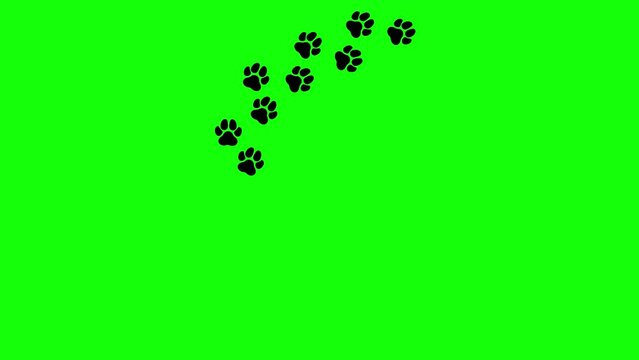 Dow paw prints on green screen background