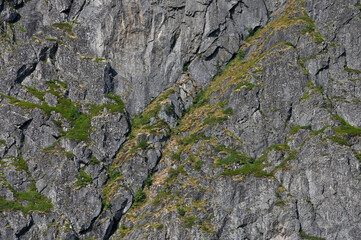Gray Rock Texture shot close-up