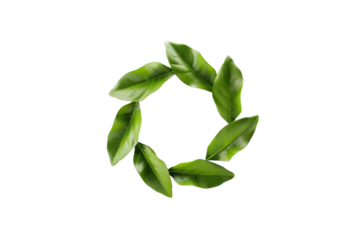 Green leaves forming a circle