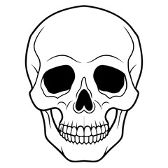 Skull black outline vector illustration 