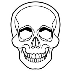 Skull black outline vector illustration 
