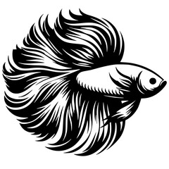 Obraz premium Betta fish design silhouette