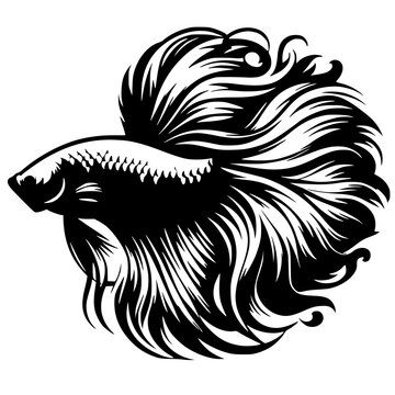recommend clip art: Betta fish design silhouette