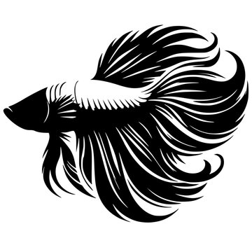 recommend clip art: Betta fish design silhouette