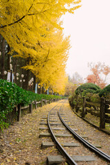 the serene beauty of Nami Island, Korea in autumn. A deserted railway track is blanketed by vibrant yellow ginkgo leaves under an overcast sky.