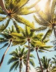 palmeras en verano en una playa de méxico