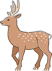 手描きのニホンジカのイラスト（夏毛）