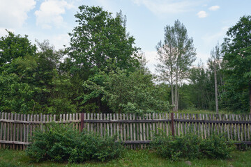 płot  © Marcin Łazarczyk