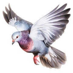 A vibrant pigeon in mid-flight with detailed feathers and a serene expression. Perfect for nature and wildlife themes.
