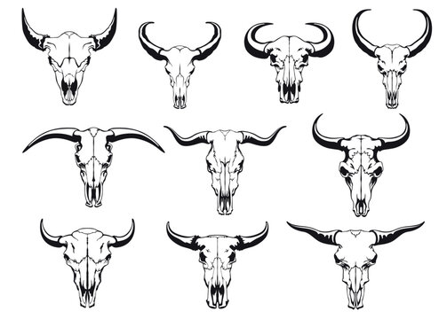 Buffalo skull hand drawn black silhouette cow head bone with horns set vector flat illustration
