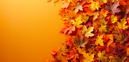 Border of colorful autumn maple leaves on vibrant background with copy space.