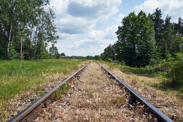 tory  © Marcin Łazarczyk