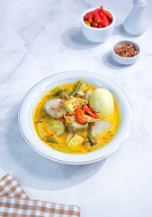 Indonesian Food Lontong Sayur