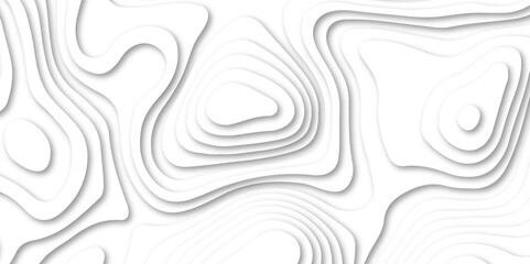 Abstract white paper cut background with line. 3d topography relief. Vector topographic illustration. realistic papercut decoration textured with wavy layer and shadow. seamless pattern wave design.