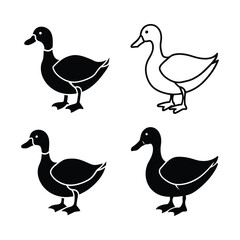 vector black silhouettes of duck in dif 