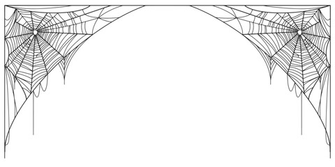 Spider web line art vector