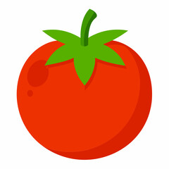 White Background Tomato vector illustration eps 10