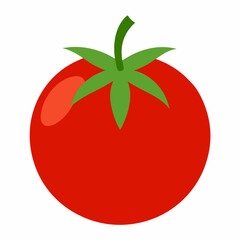 White Background Tomato vector illustration eps 10