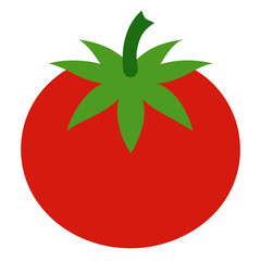 White Background Tomato vector illustration eps 10