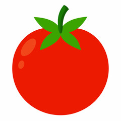 White Background Tomato vector illustration eps 10