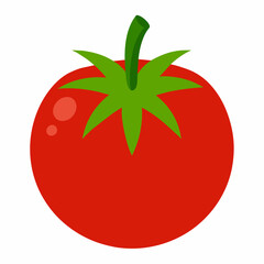 White Background Tomato vector illustration eps 10